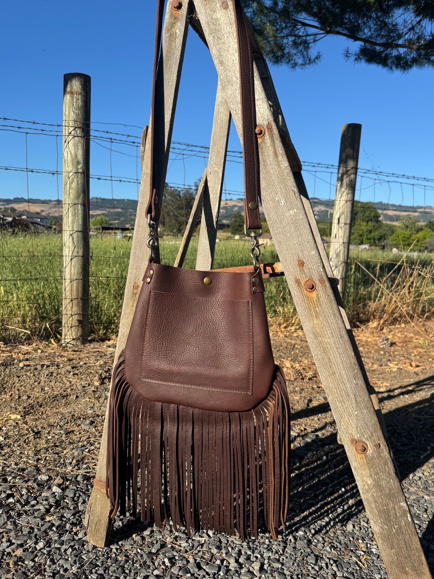 Cotati with Fringe