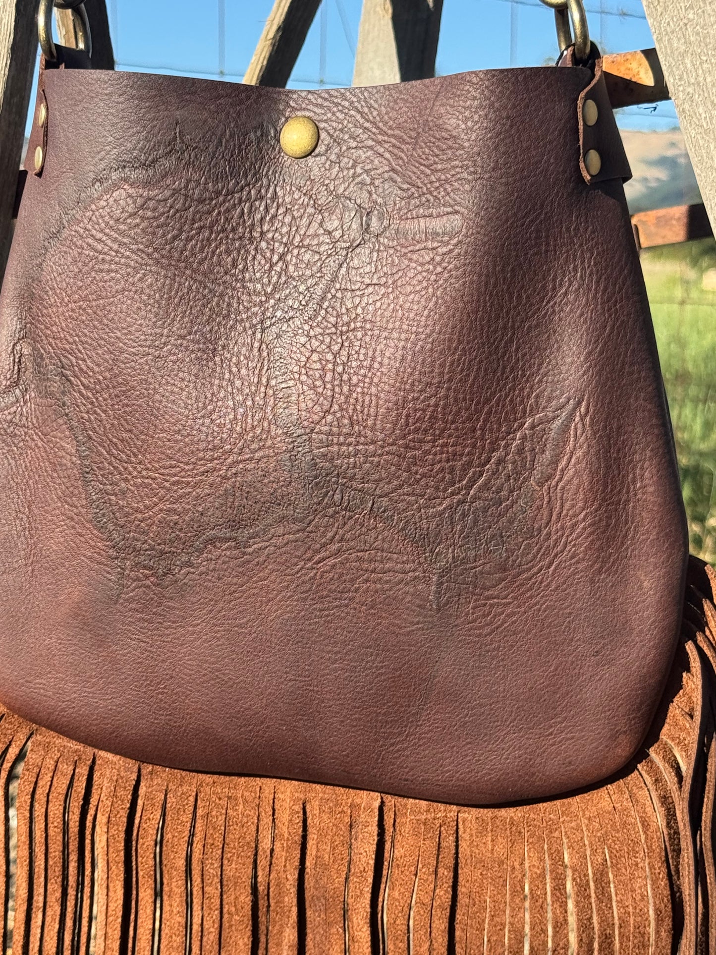 Cotati with Fringe