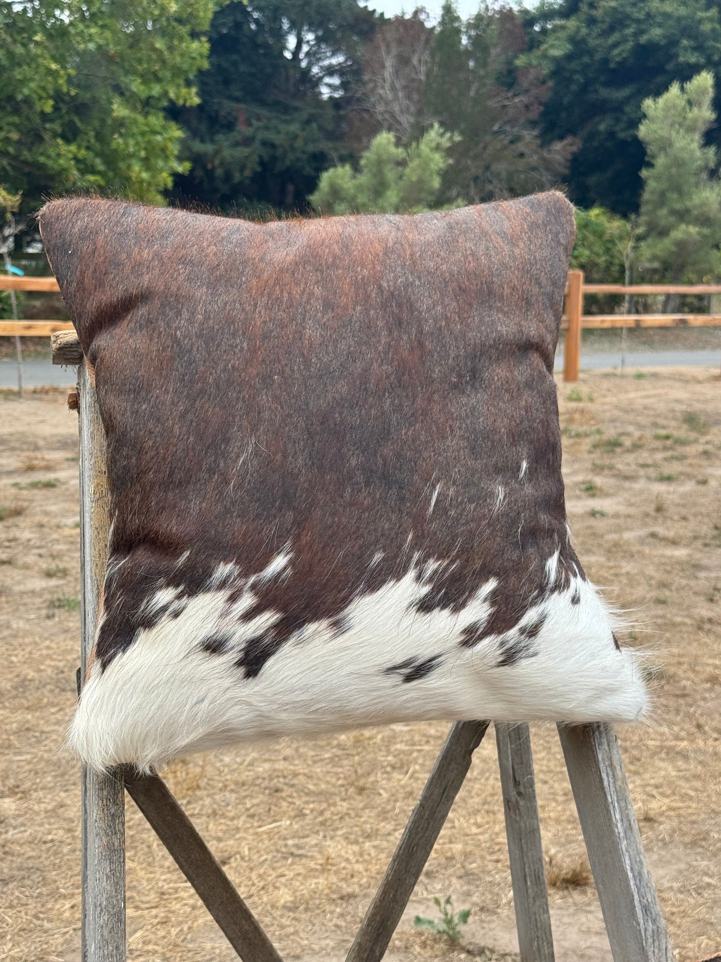 Accent Pillows - Set of 2