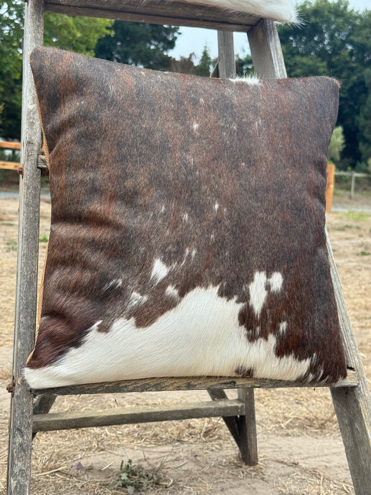Accent Pillows - Set of 2