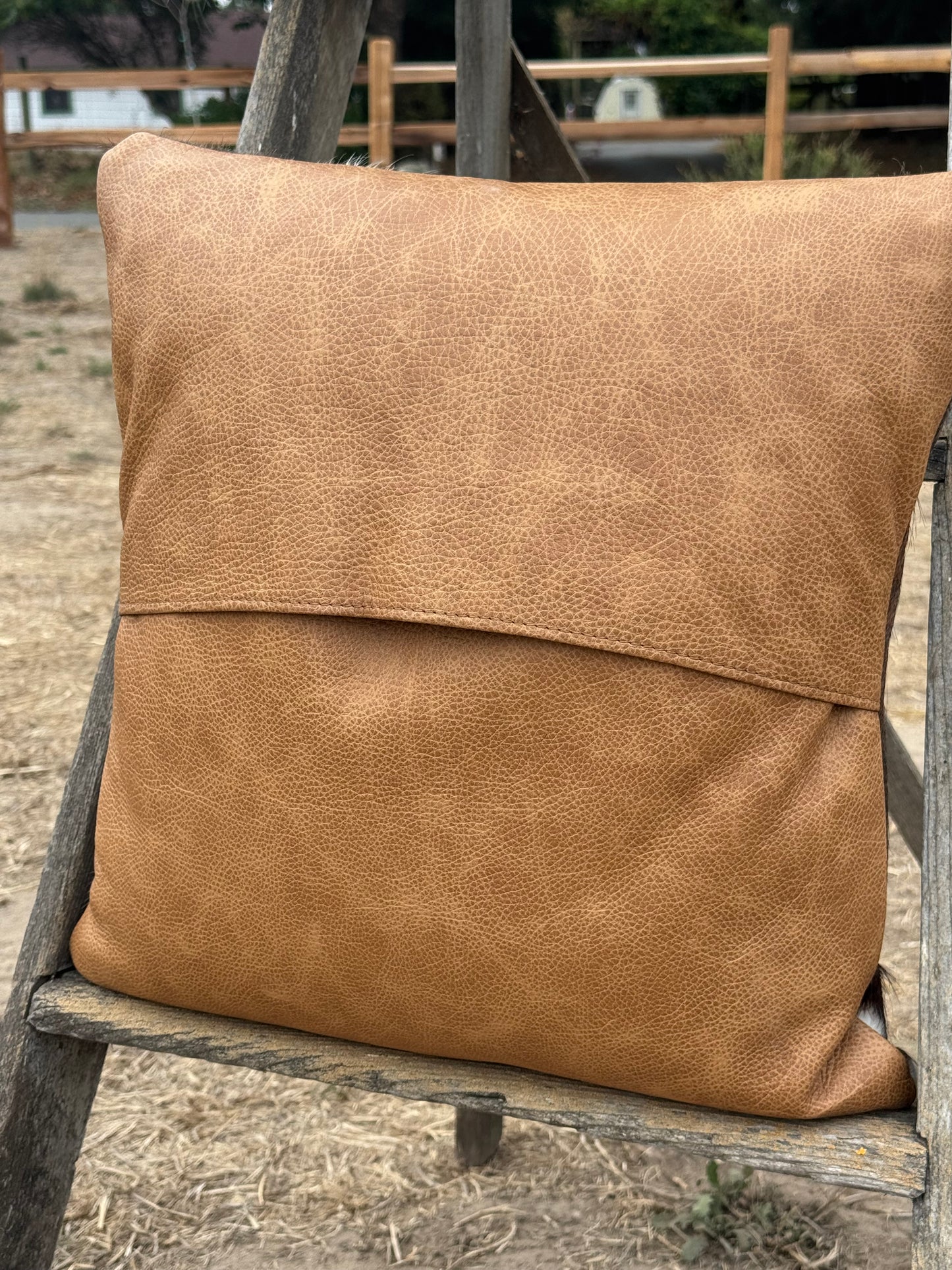 Accent Pillows - Set of 2