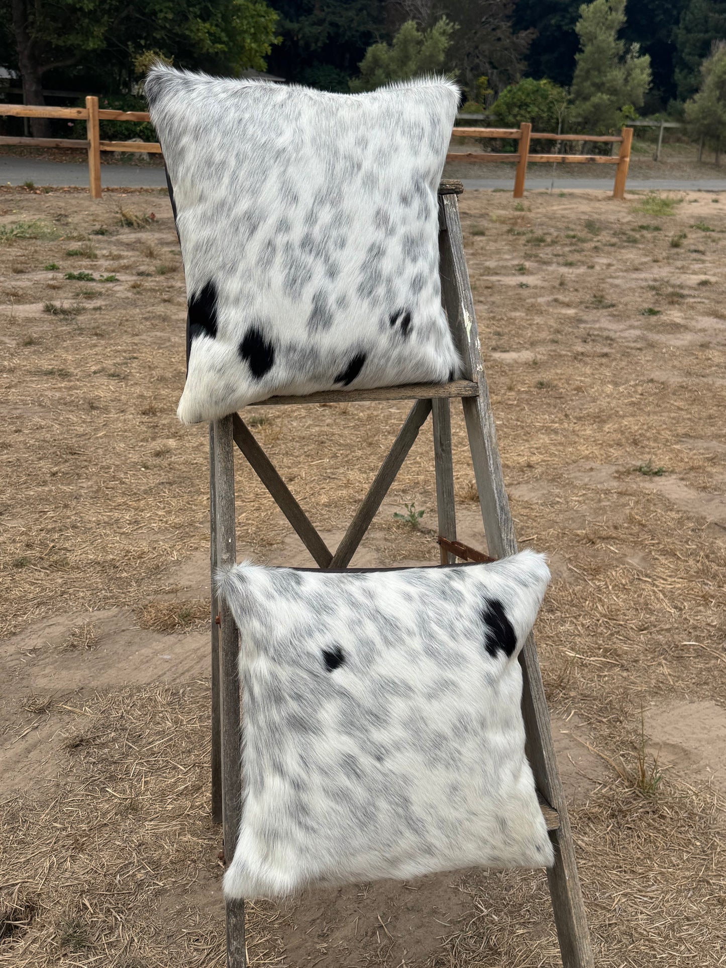 Accent Pillows - Set of 2