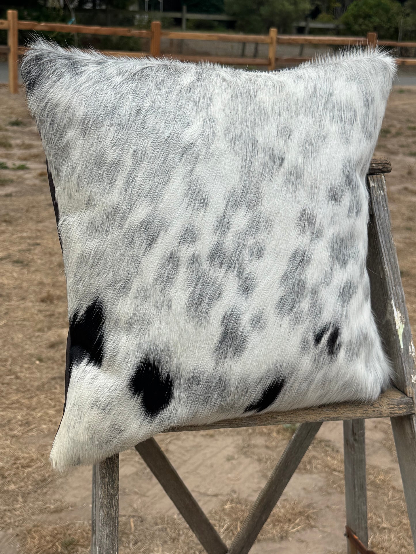 Accent Pillows - Set of 2